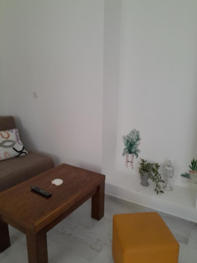 Apartmani Studio Apartmani Senjska Maslina 塞尼 外观 照片