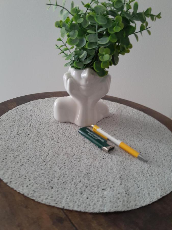 Apartmani Studio Apartmani Senjska Maslina 塞尼 外观 照片