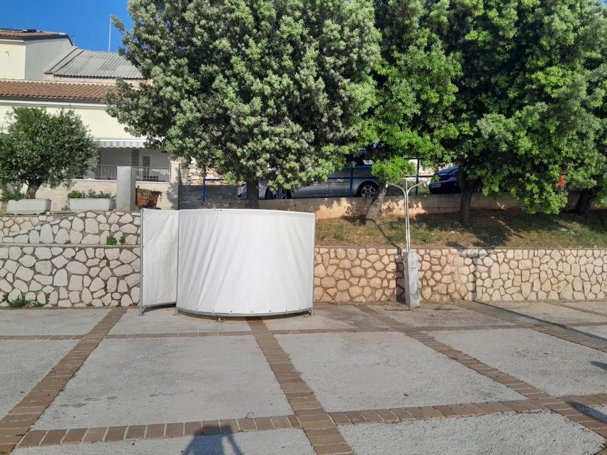 Apartmani Studio Apartmani Senjska Maslina 塞尼 外观 照片