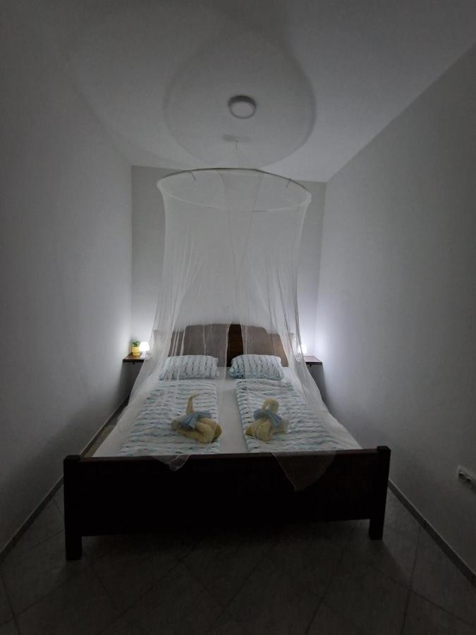 Apartmani Studio Apartmani Senjska Maslina 塞尼 外观 照片