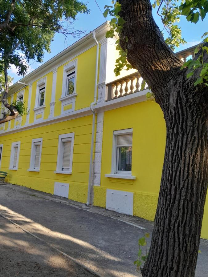 Apartmani Studio Apartmani Senjska Maslina 塞尼 外观 照片